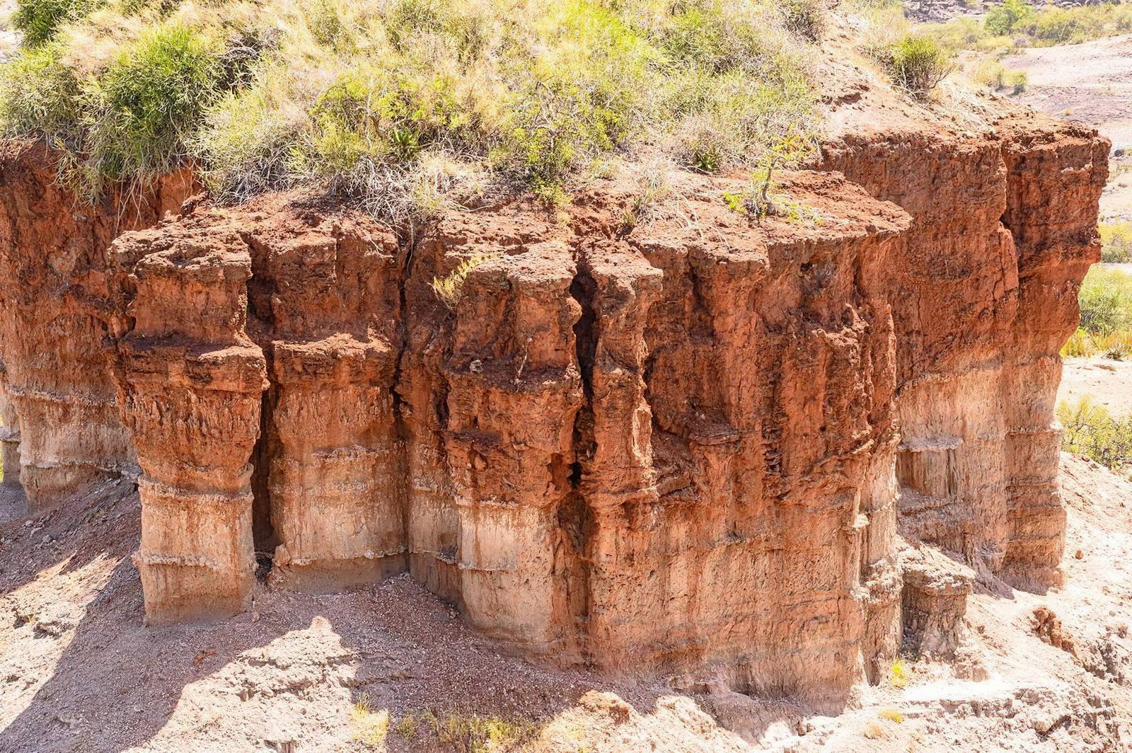 The Cradle of Mankind