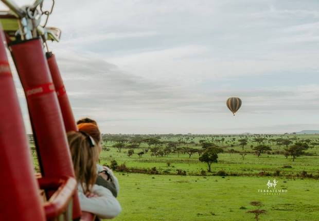 Balloon safari at dawn