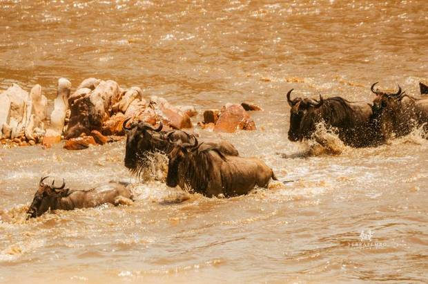River crossing