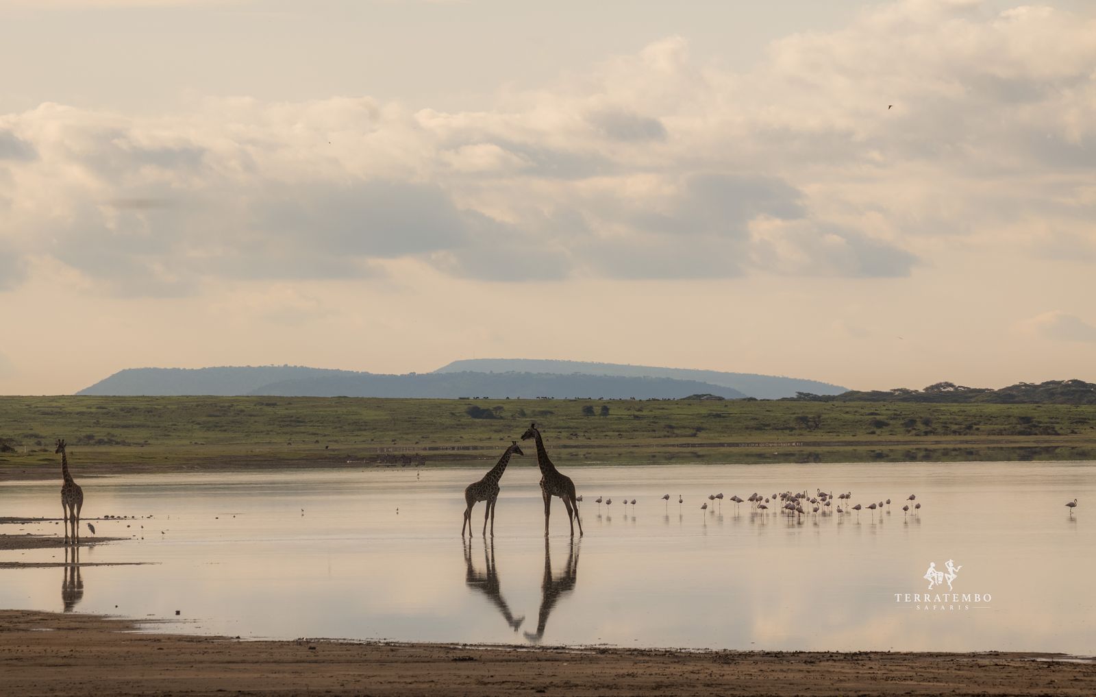 8-Day Zambia Wilderness