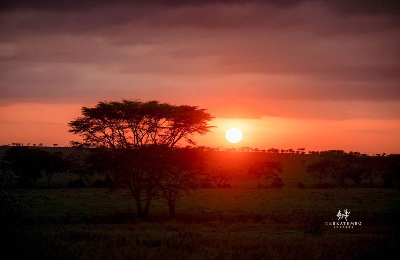 Arrive — Nairobi