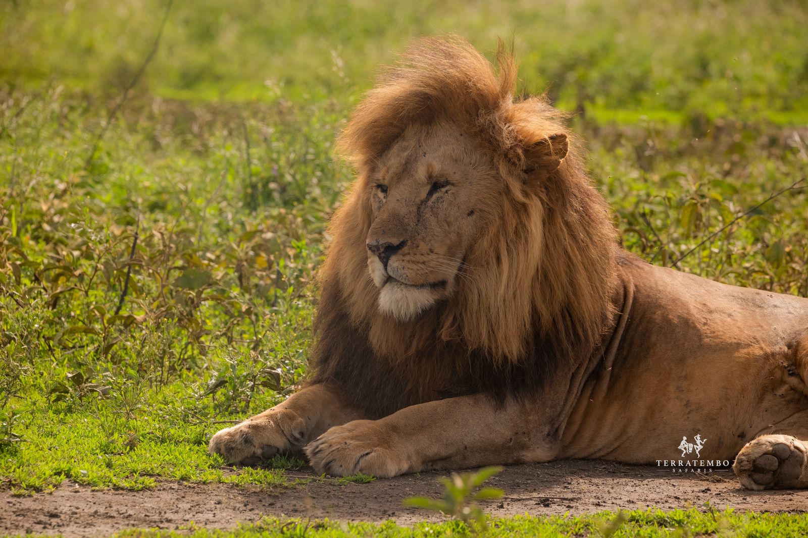 7-Day Kenya Highlights