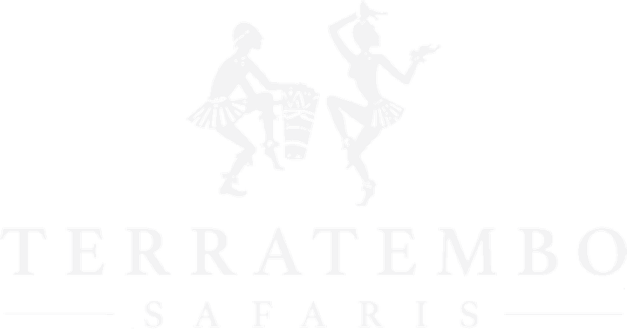 TerraTembo Safaris