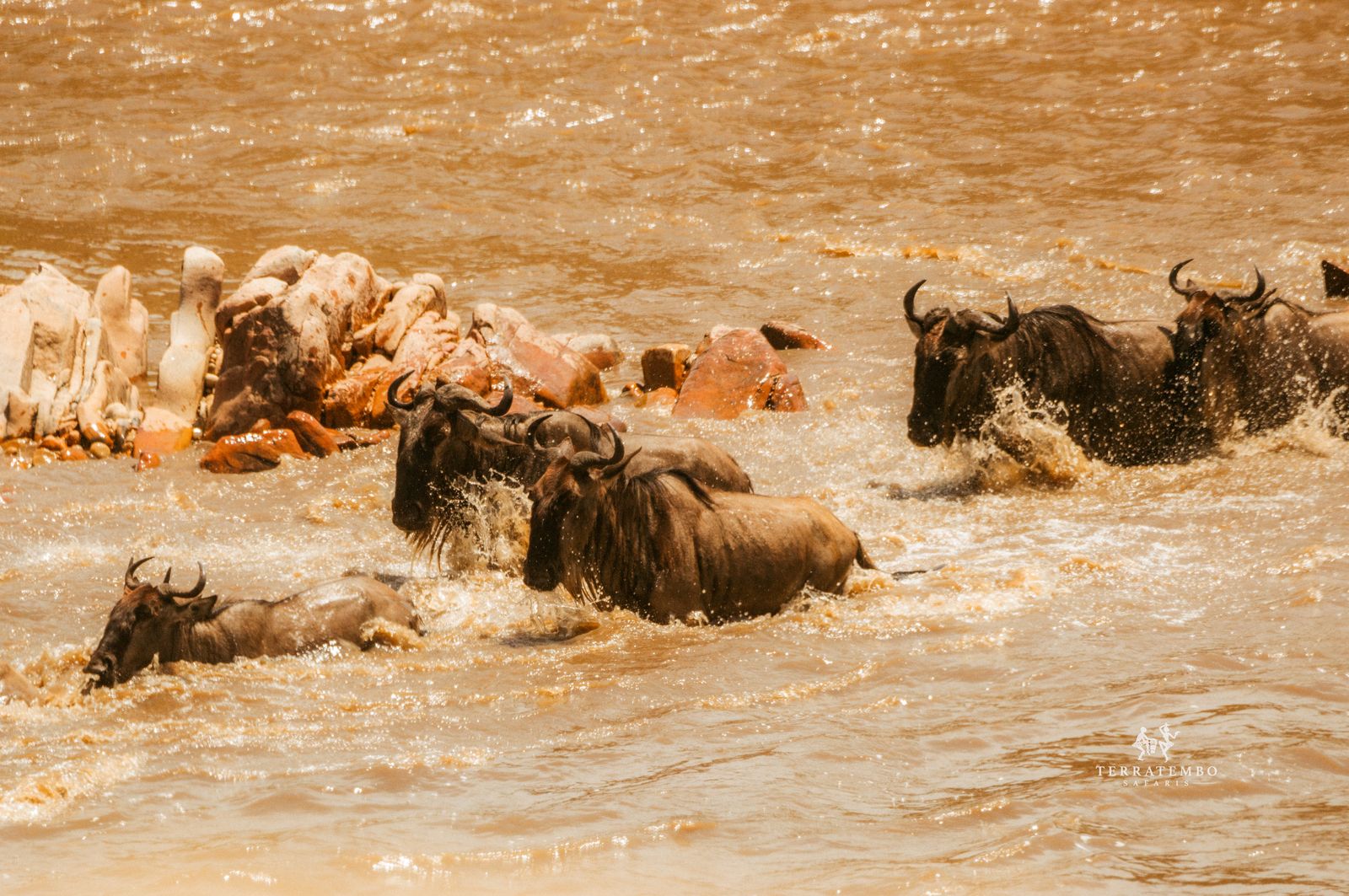 Masai Mara