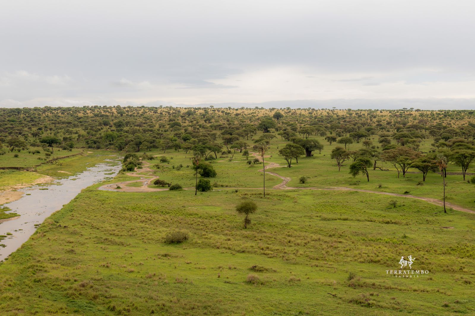 Safaris & Tours
