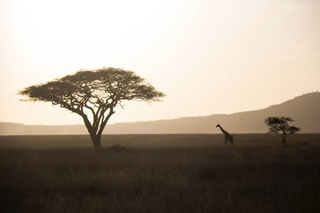 Tanzania2