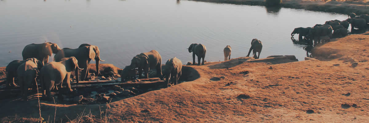 Title Image