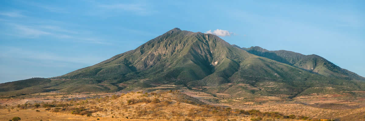 Title Image
